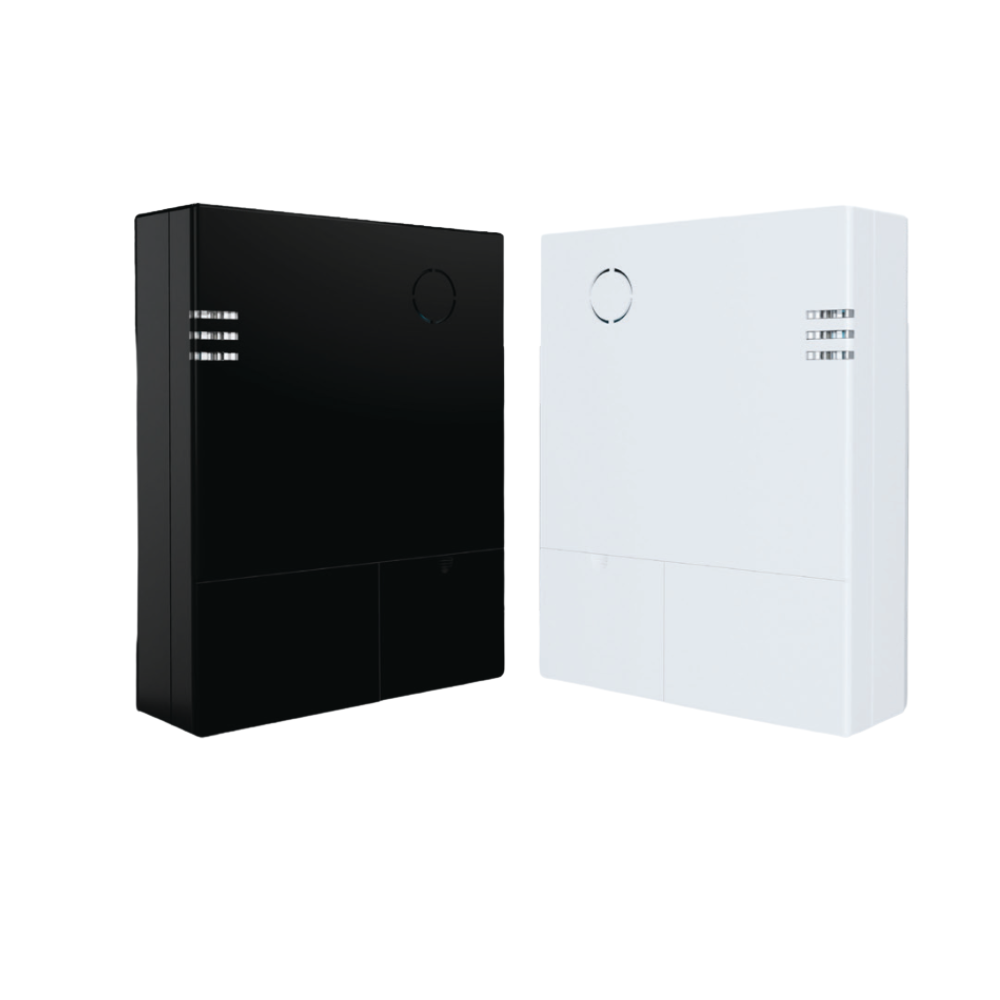 Centrale alarme NFA2P Risco